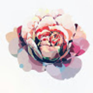 Meet your Posher, Noelle